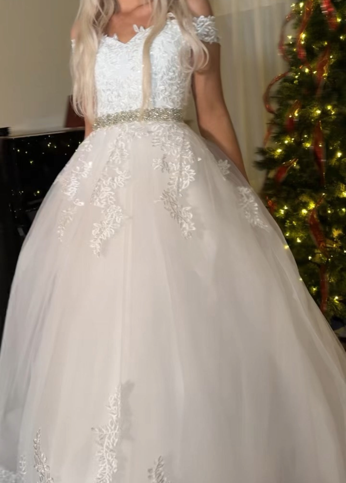 The Royal Fairytale Ball Gown