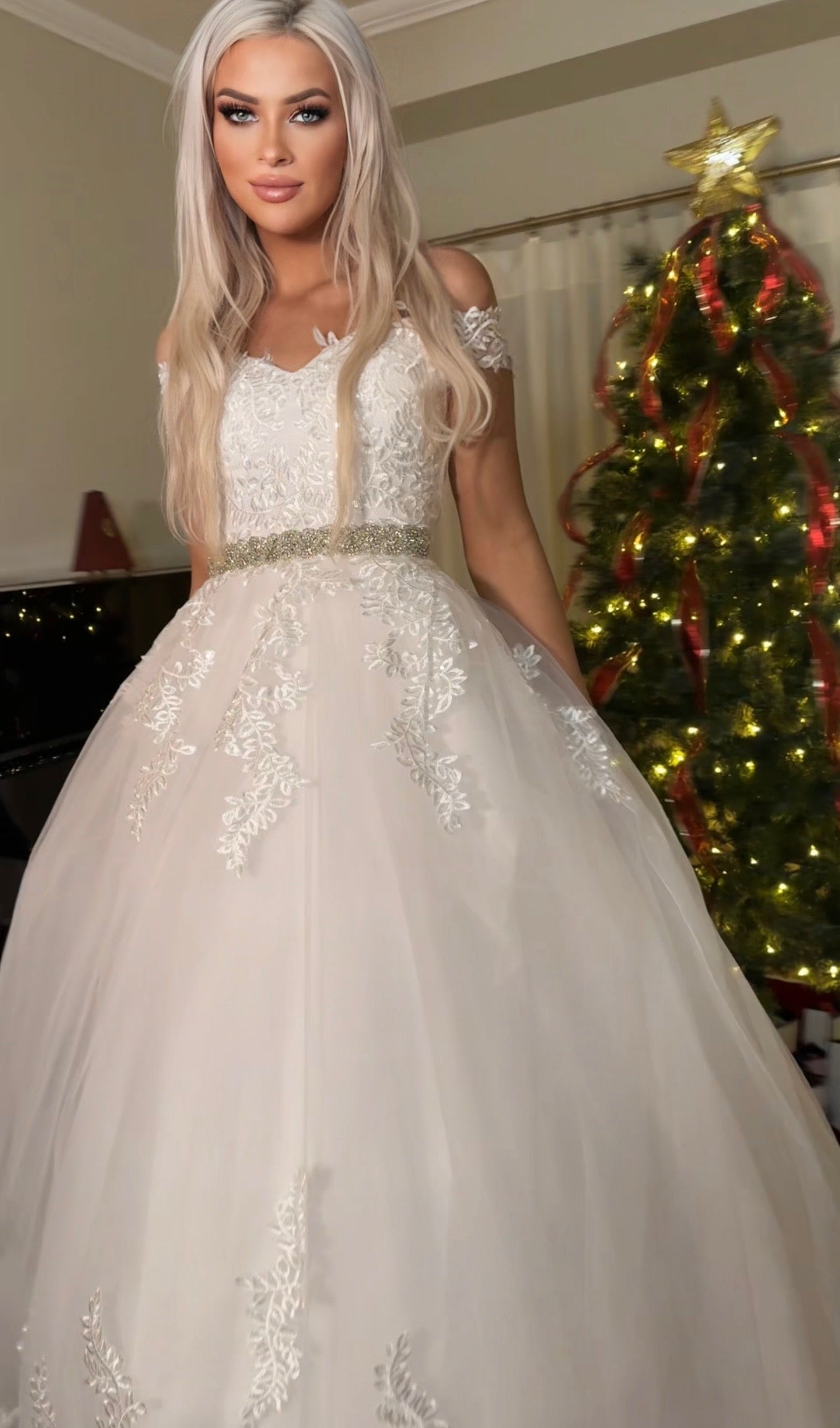 The Royal Fairytale Ball Gown